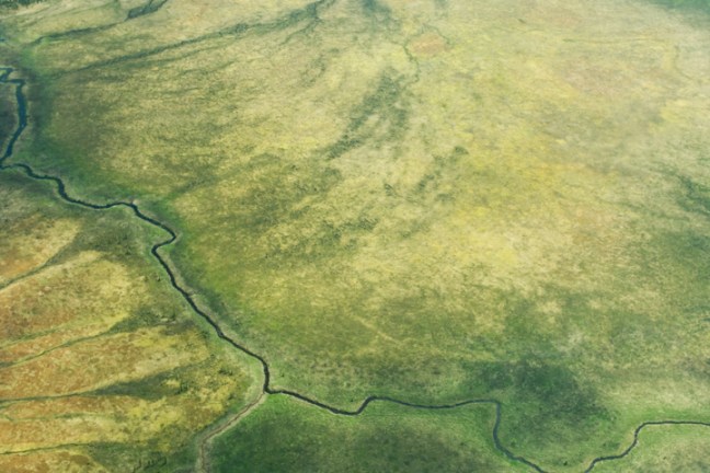 michael-fuchs-070217-5