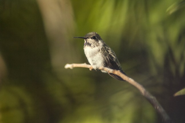 michael-fuchs-070917-1