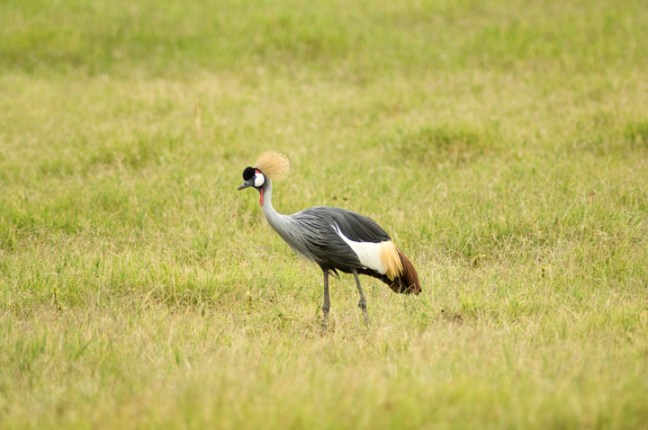 michael-fuchs-070917-4