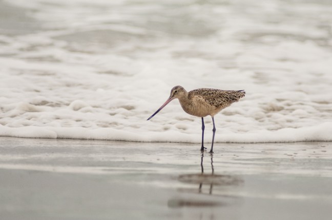 michael-fuchs-070917-5