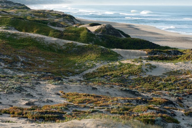 michael-fuchs-071617-5