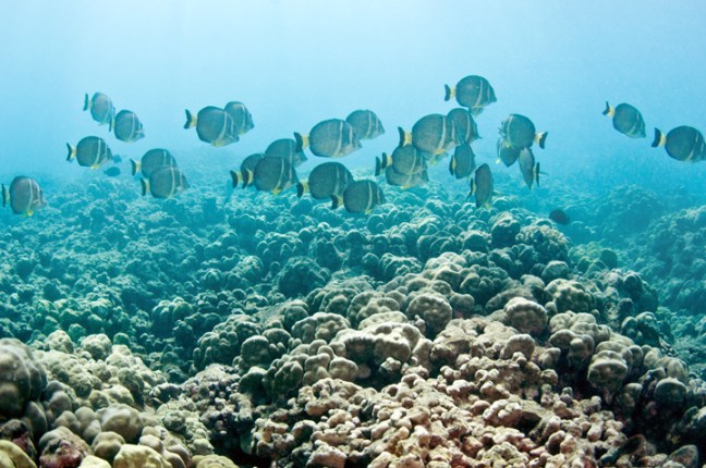 michael-fuchs-072317-2