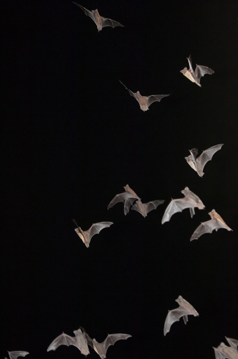 michael-fuchs-072317-3