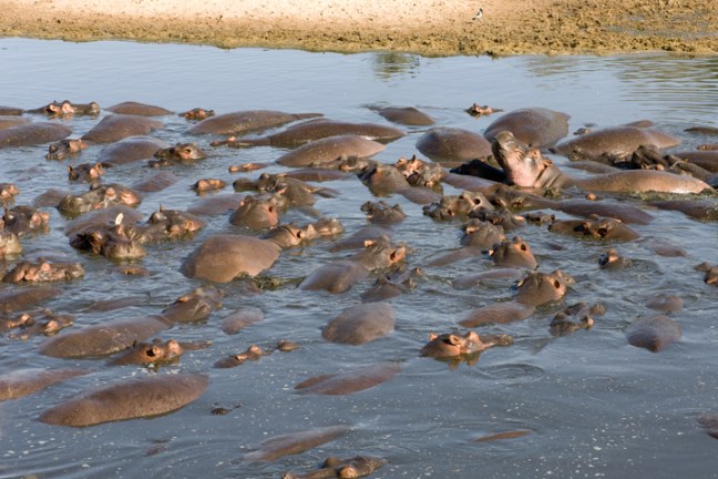 michael-fuchs-072317-4