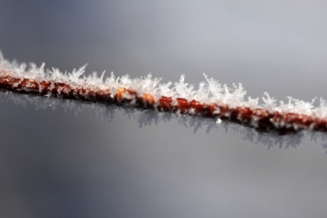 michael-fuchs-073017-2