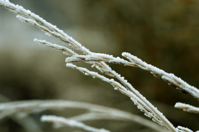 michael-fuchs-073017-4