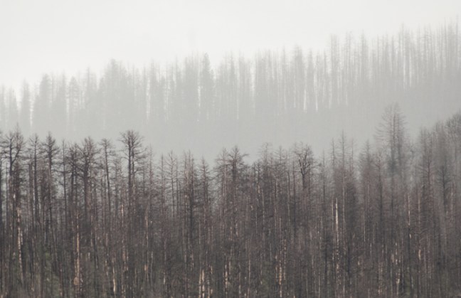 michael-fuchs-081317-3