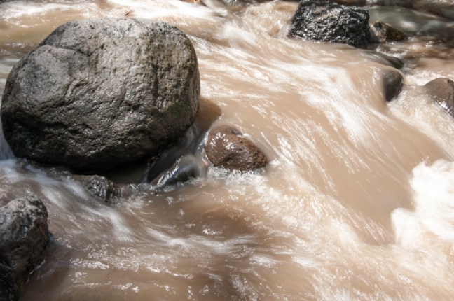 michael-fuchs-081317-4