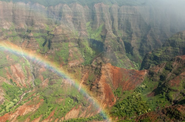 michael-fuchs-081317-5