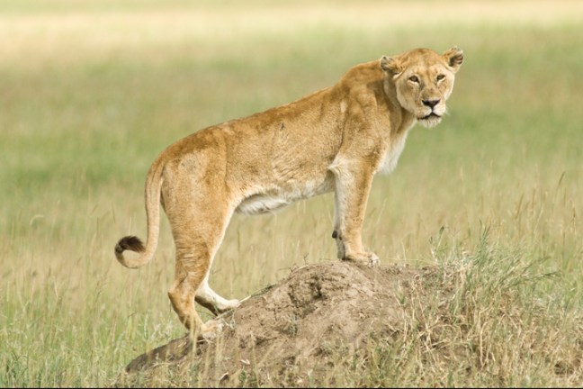 michael-fuchs-082717-3