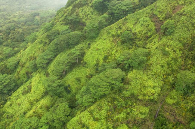 michael-fuchs-091717-3