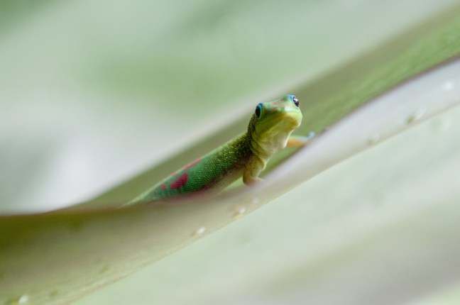 michael-fuchs-100117-5