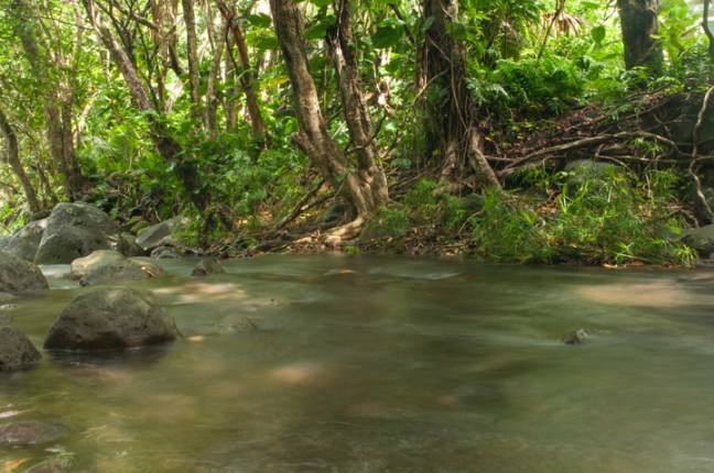 michael-fuchs-100817-5