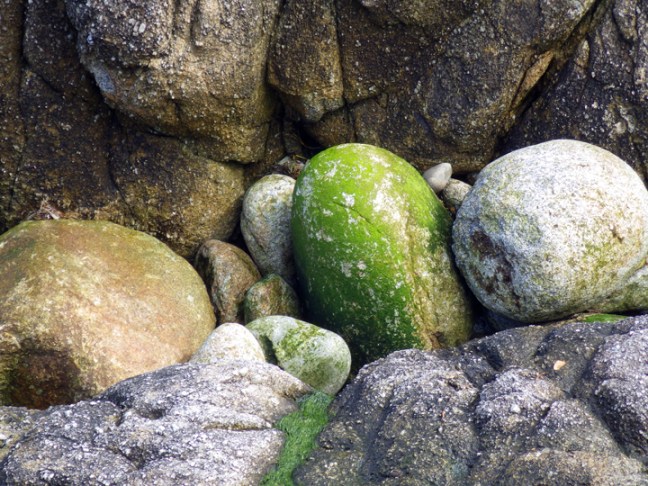 michael-fuchs-101517-2