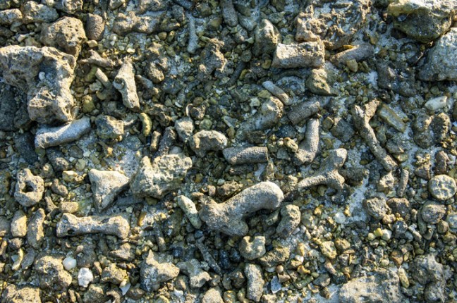 michael-fuchs-101517-4