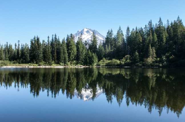 michael-fuchs-102217-1