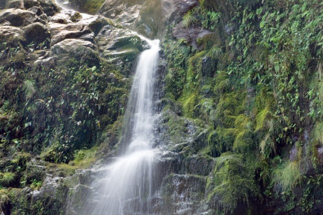 michael-fuchs-102217-2