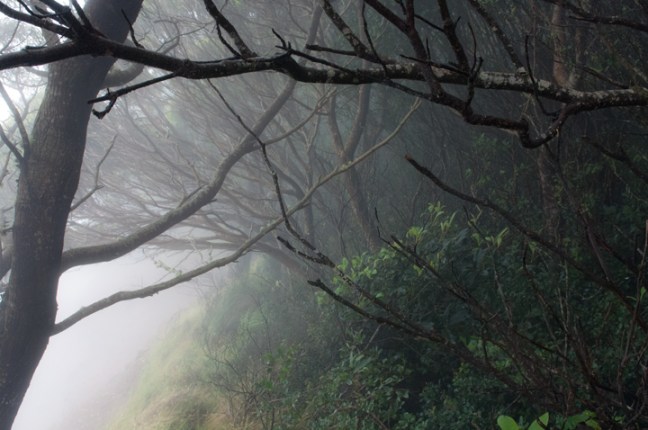 michael-fuchs-102217-4