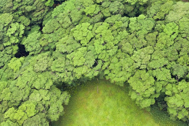 michael-fuchs-102917-2