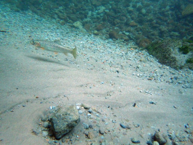 michael-fuchs-111217-1