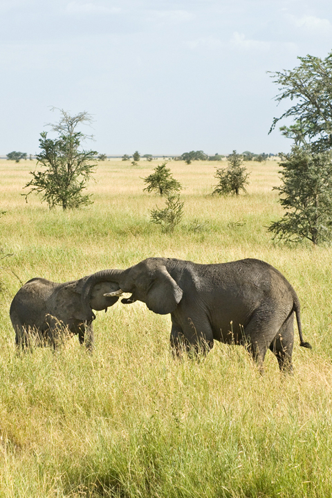 michael-fuchs-121017-2