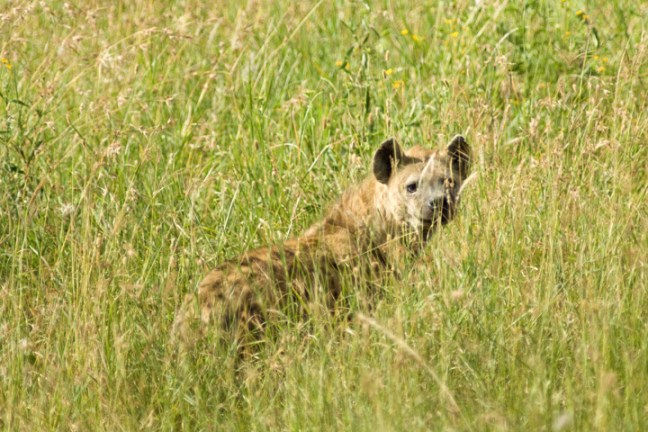 michael-fuchs-121017-4