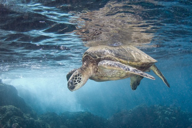 michael-fuchs-121017-5