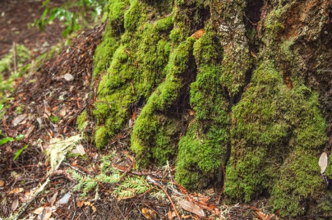 michael-fuchs-122417-3